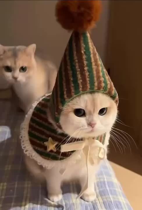 Спокойной ночи. МегаТюмень