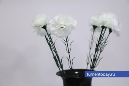 В Тюмени закрепили возможность бесплатной кремации