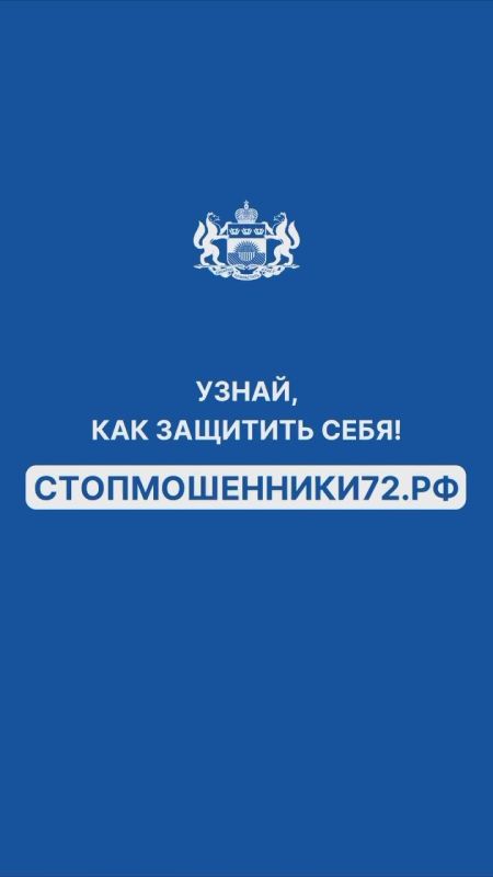 Корги Дружок и его хозяйка снова в беде!