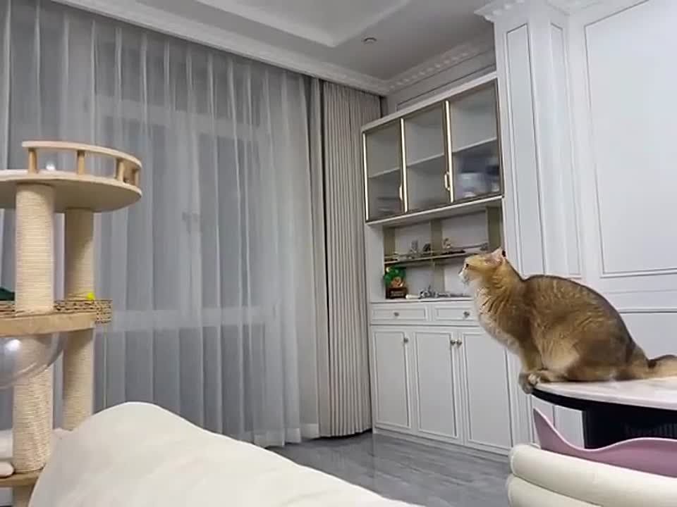 Доброе утро!. Врываемся в пятницу) выходные уже дышат в спину! МегаТюмень