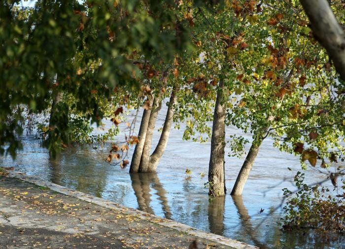 Как создать идеальные условия для сада в любую погоду