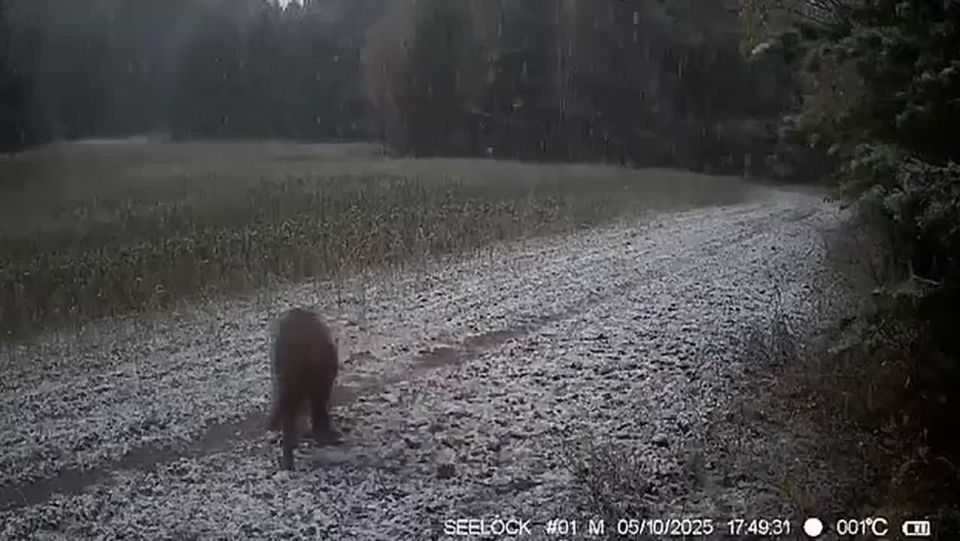 Понедельник — день тяжелый?