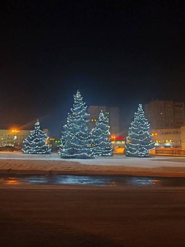 Мигают на деревьях огни ночных гирлянд