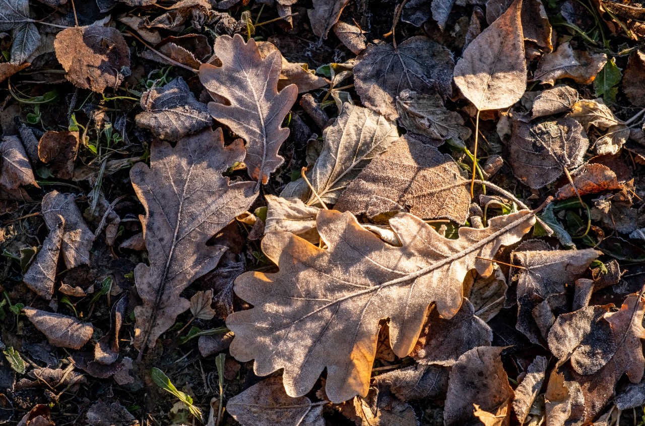 Солнечный Ишим в легком морозце