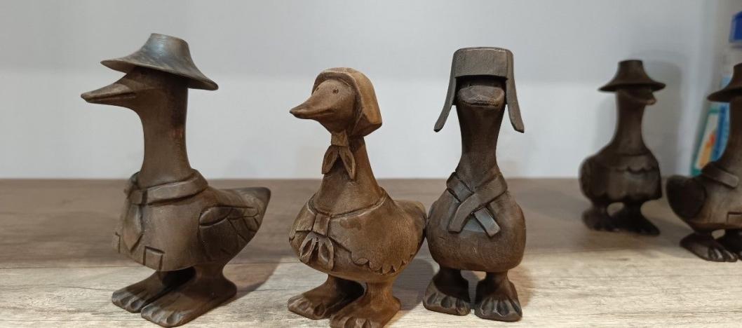 А вы видели гусей-богатырей? А вы видели гусей-богатырей?