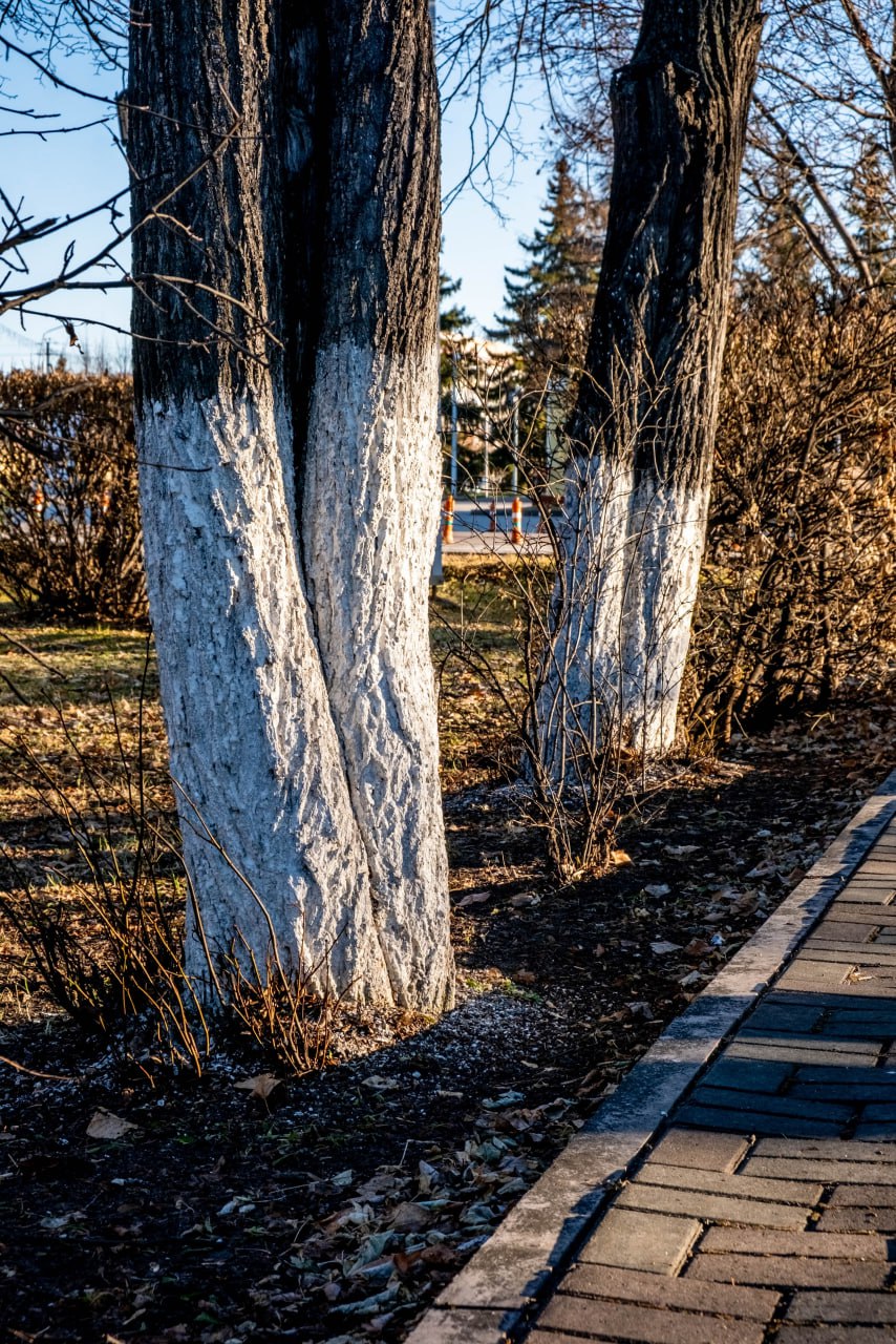 Солнечный Ишим в легком морозце Солнечный Ишим в легком морозце