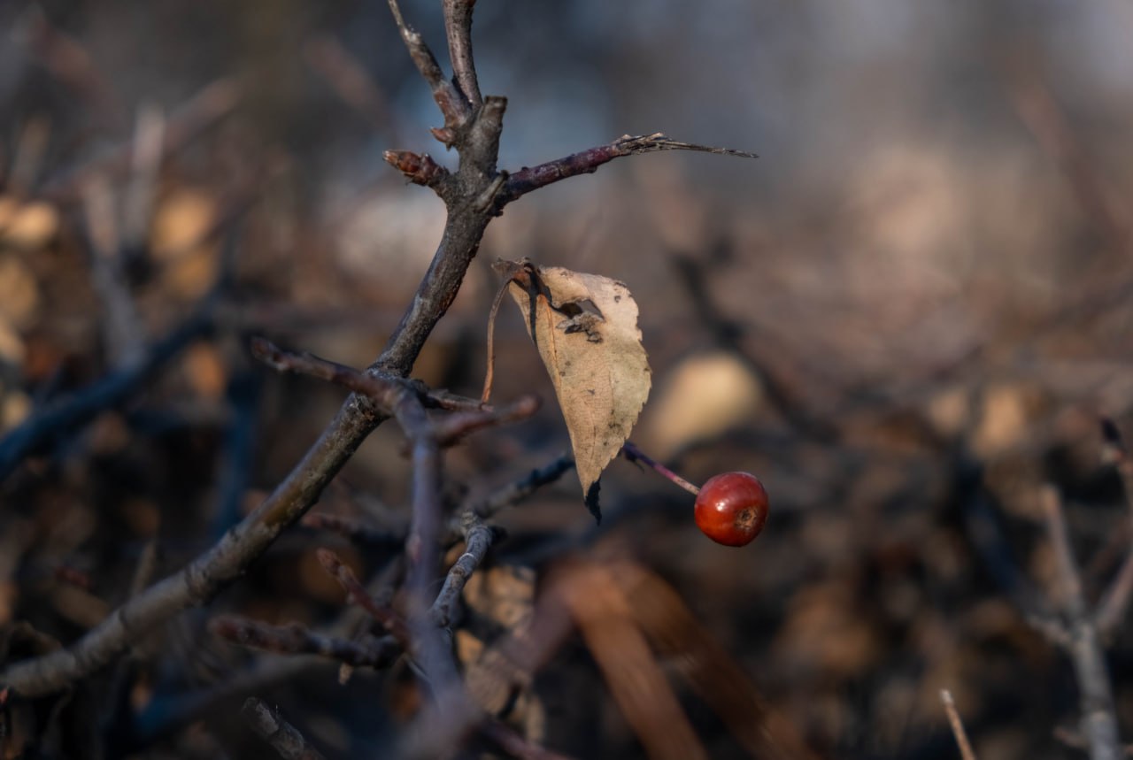 Солнечный Ишим в легком морозце Солнечный Ишим в легком морозце