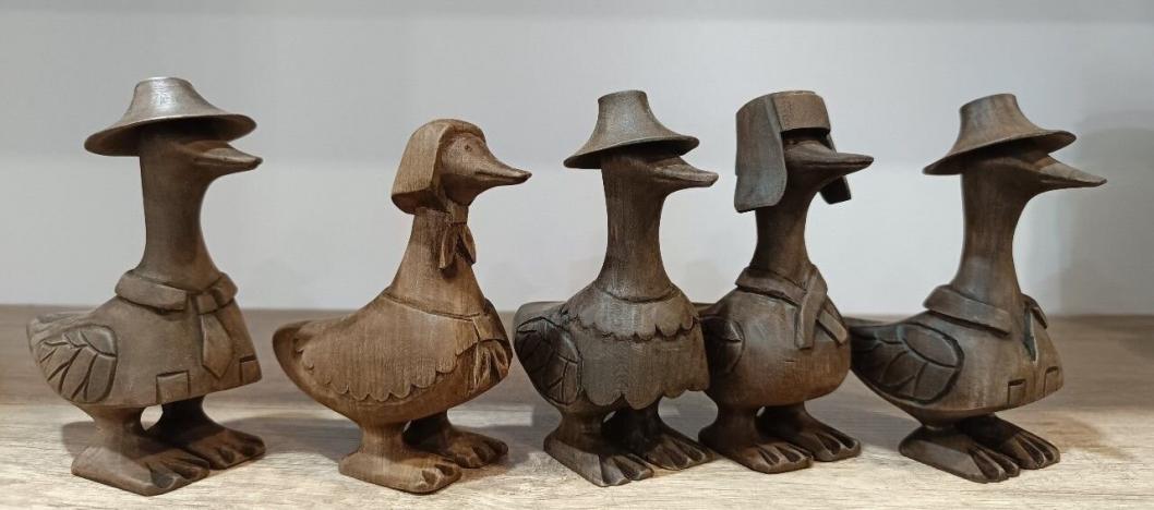 А вы видели гусей-богатырей?