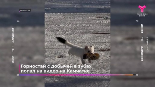 Новости страны и мира за 72 секунды!