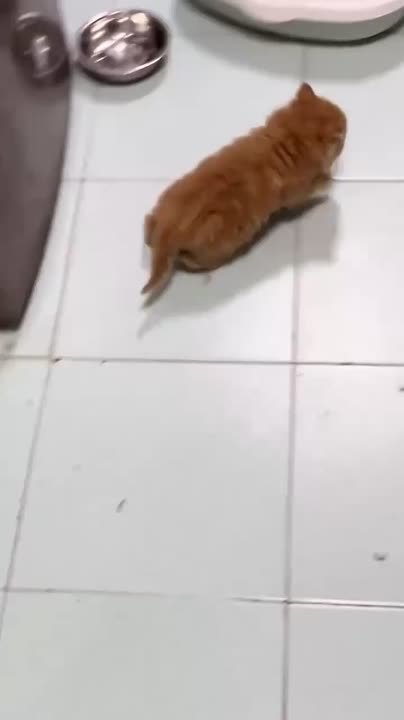 Это я пытаюсь спрятаться от работы, но работа застает меня врасплох