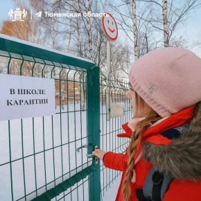 Тобольские школы перешли на дистант