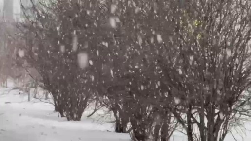 Урааа! В Тобольск зима пришла!