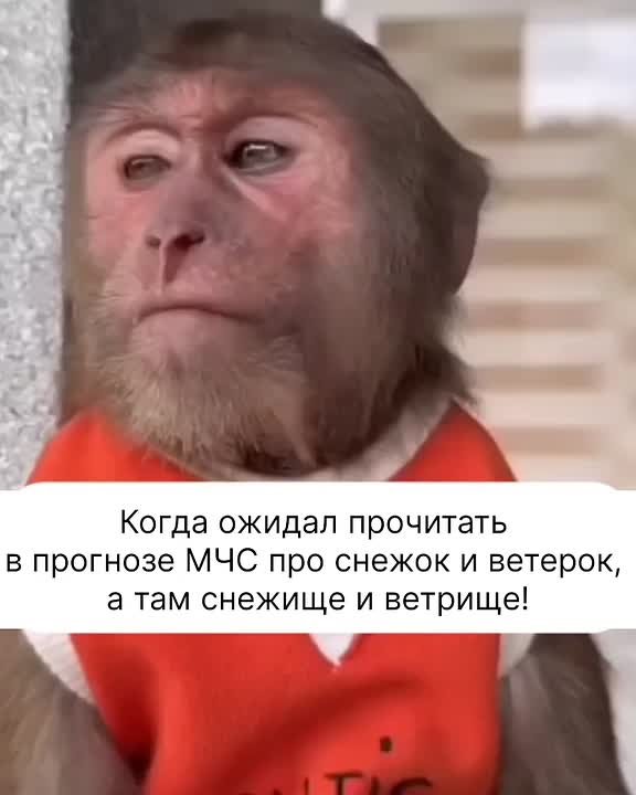 Главное управление МЧС России по Тюменской области ИНФОРМИРУЕТ