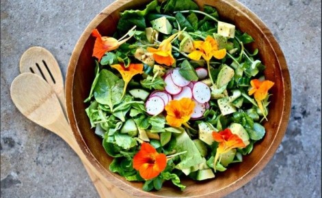 Съедобные цветы: как красоты сада могут удивить вкусовые рецепторы