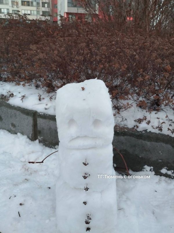 Фантазии тюменцев безграничны