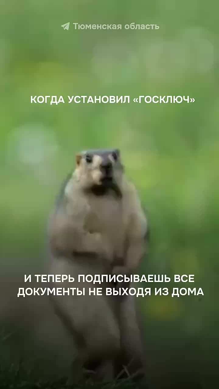 Тюменцы, вы знали, что можно подписывать документы за секунды с помощью телефона?