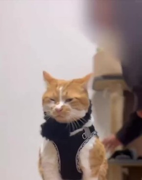 Доброе утро 2 декабря на календаре: не забываем надевать шапку, сегодня плюсовой температуры не ожидается!