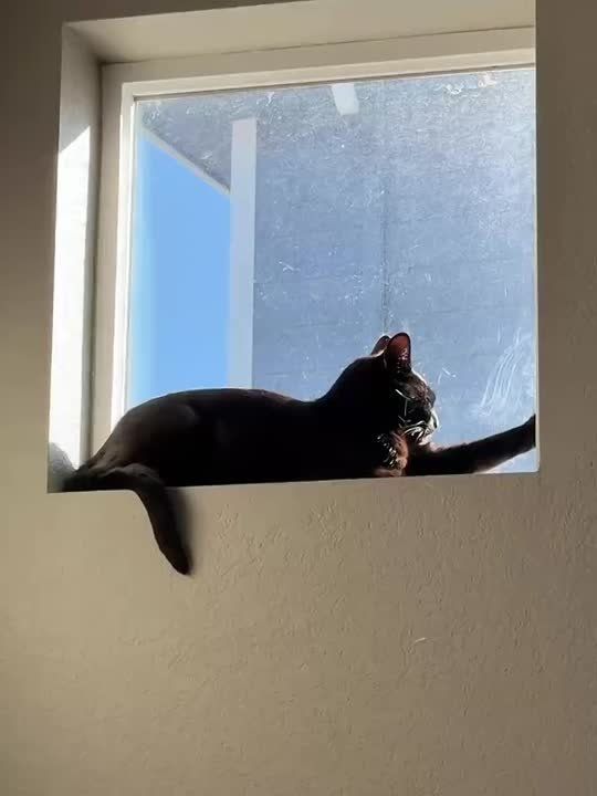 Инь и Ян наглядно. Пора уже готовиться ко сну! Завтра четверг, до выходных "рукой подать"! МегаТюмень