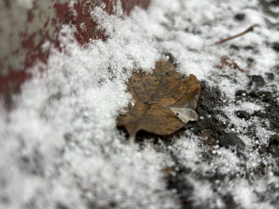 ����������� ������� ����-���� ���������!