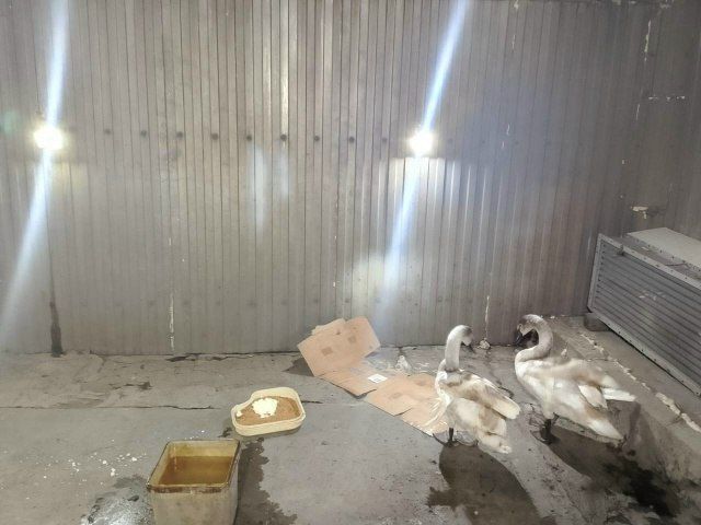 ������� ������ �� ������ �� ����� � ���� ��������