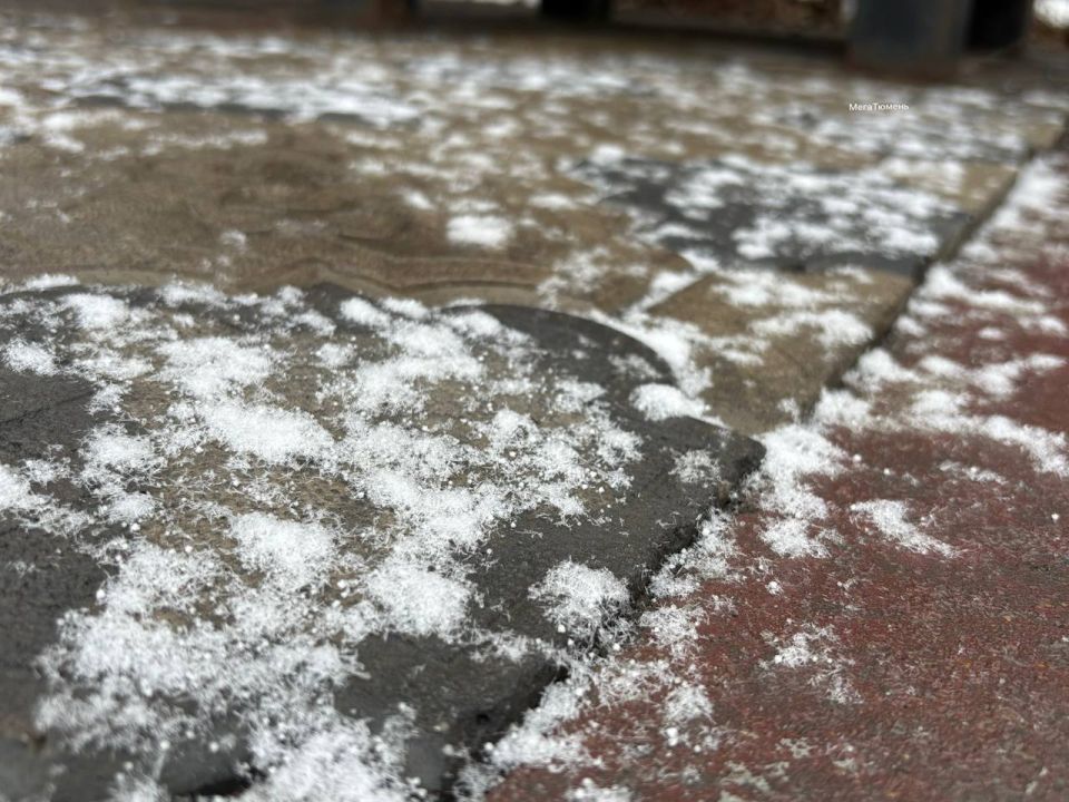 ����������� ������� ����-���� ���������!