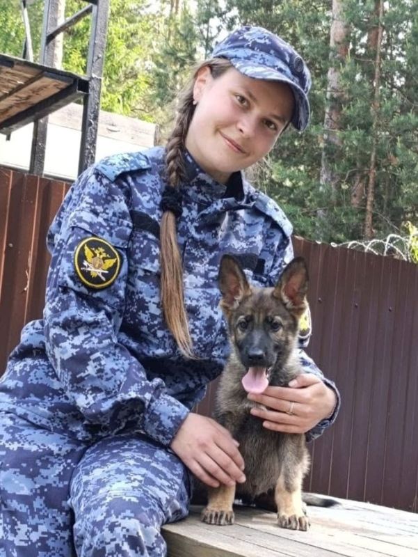 В свердловском ГУФСИН подрастают восемь милых будущих служебных овчарок В свердловском ГУФСИН подрастают восемь милых будущих служебных овчарок