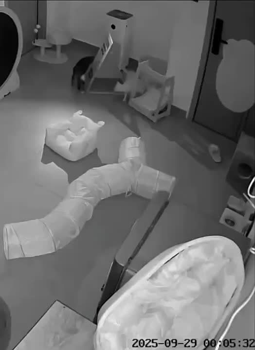 Добренькое утро! На календаре пятница!