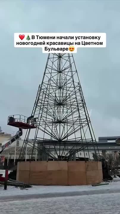 Новый год все ближе, елок в Тюмени все больше