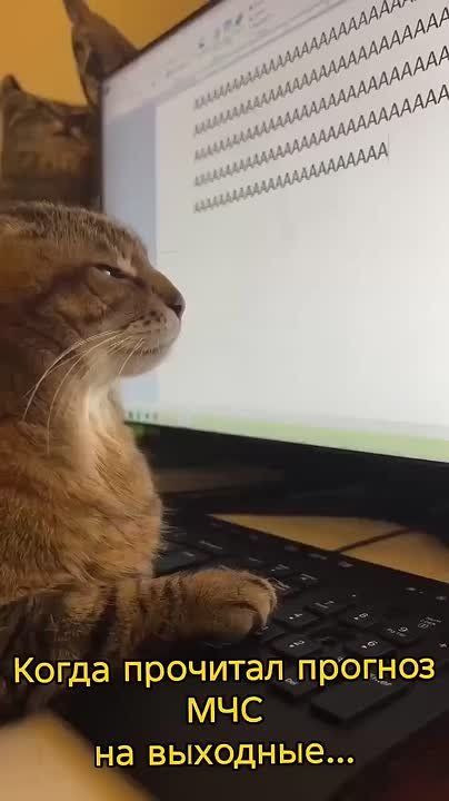 Главное управление МЧС России по Тюменской области информирует