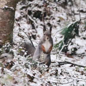  !. !   )    ,   ,   ,        :       -  !