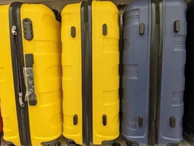 Из Сибири к морю. Где тюменцы будут зимовать в 2025-2026 году?