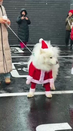 Самый милый Дед Мороз, кстати, тоже живет у нас