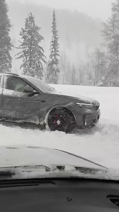 «Кто едет в Шерегеш, будьте готовы!»: пока мы тут жалуемся на отсутствие снега, в Кемеровской области наши проблемы не понять