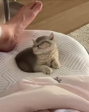 Воскресенье! Сегодня можно отдохнуть как следует!