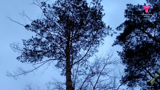 Как вы думаете, что общего у студенток с Ближнего Востока и наших?