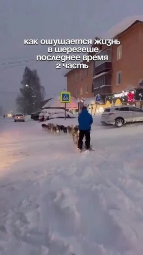 Снежный апокалипсис продолжается в Шерегеше: местные пересаживаются на собачьи упряжки, а машины почти полностью скрыты под снегом