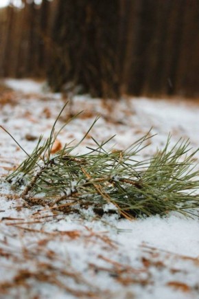 Тюменский фотограф поймал заснеженные парки города в кадр