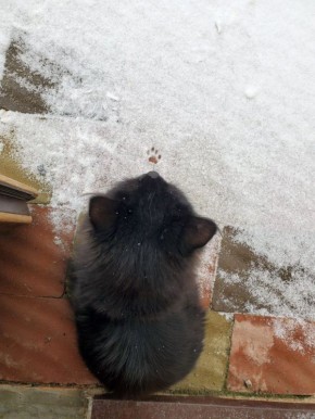  !.   !    -19 ,   -26!  ,  !   3   !