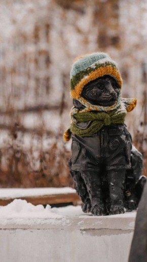 Добрые тюменцы утеплили котика Семена к морозам