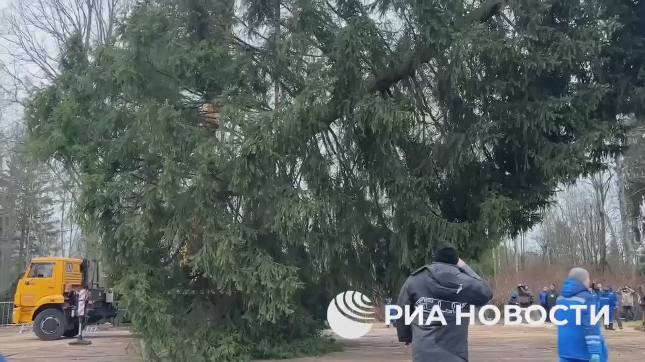 На Соборной площади в Москве у Кремля поставят 100-летнюю ёлку