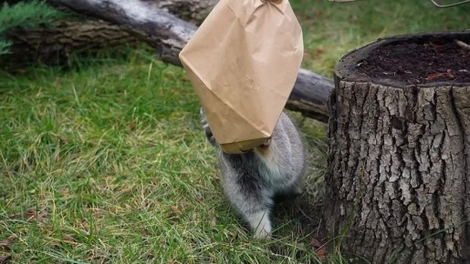 Как пережить новогодние праздники без чувства тяжести и сожалений?