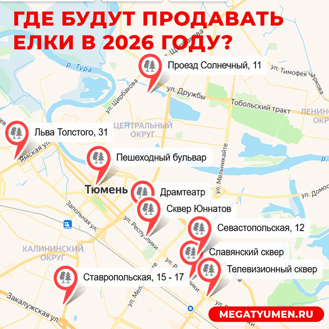 ЕЛКИ! Стало известно, где можно приобрести елочку в Тюмени