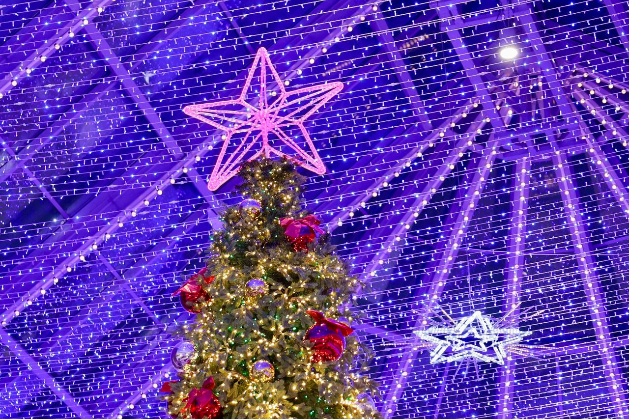 Сегодня в Тобольске дан старт Всероссийской акции «Ёлка желаний» Сегодня в Тобольске дан старт Всероссийской акции «Ёлка желаний»