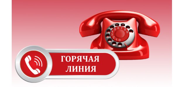 Начала работу горячая линия по вопросам безопасности детских товаров и выбору новогодних подарков