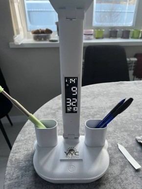 Тюменская прокуратура отреагировала на перебои с электричеством в "Чистых Росах" - тюменцы остались без тепла из-за неполадок