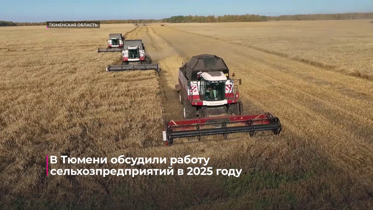 В Тюмени обсудили итоги работы сельскохозяйственных предприятий в этом году