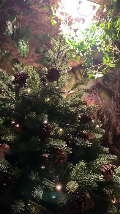 ����� ������� ������ ��� ��� ����: