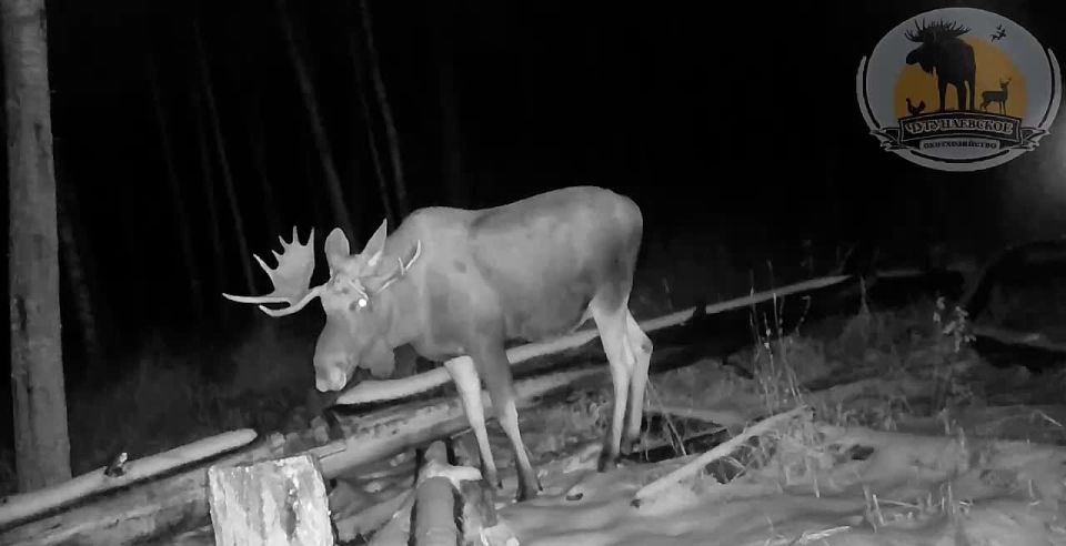 ����� ��� ������������ �������