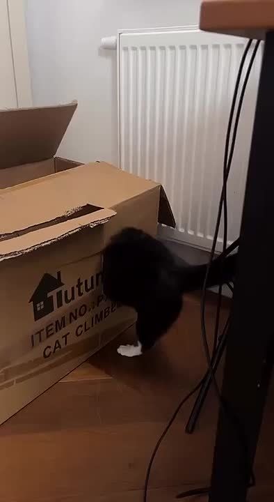 ���������� ���������� � ��������!