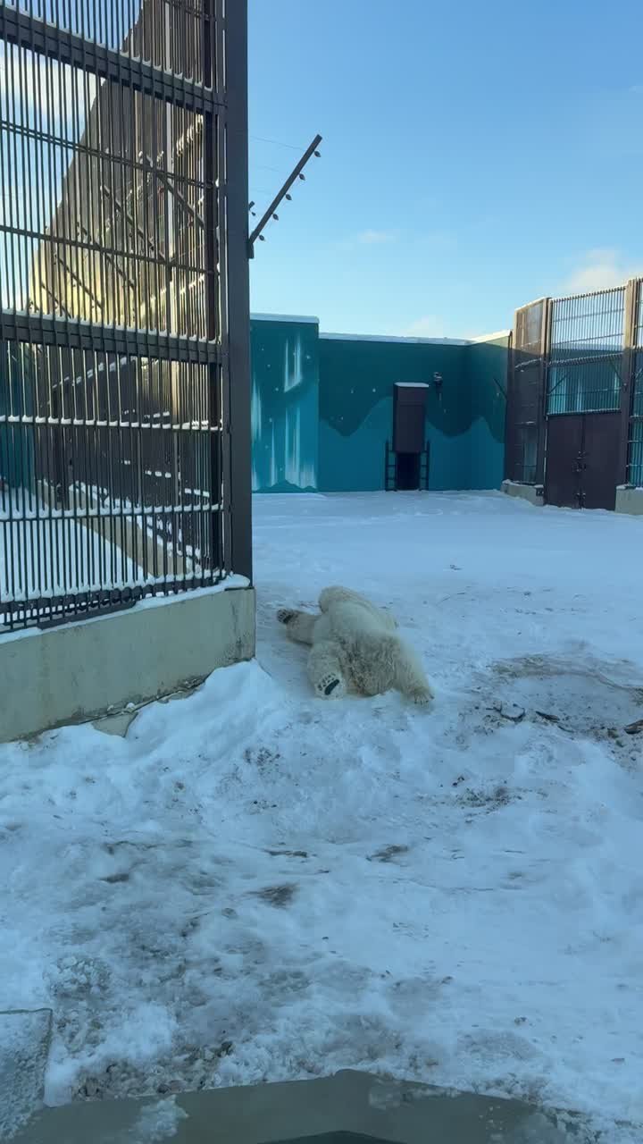 Доброе утро!. МегаТюмень